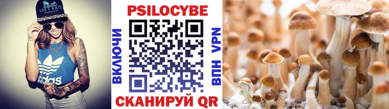 Псилоцибиновые грибы ЛСД  Купить закладки  Салаир 